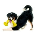 thumbnail image 3 of Playology Dog Toys | Durable Dri-Tech Rope, Chicken Scented Tug of War Toy - Medium, 3 of 6