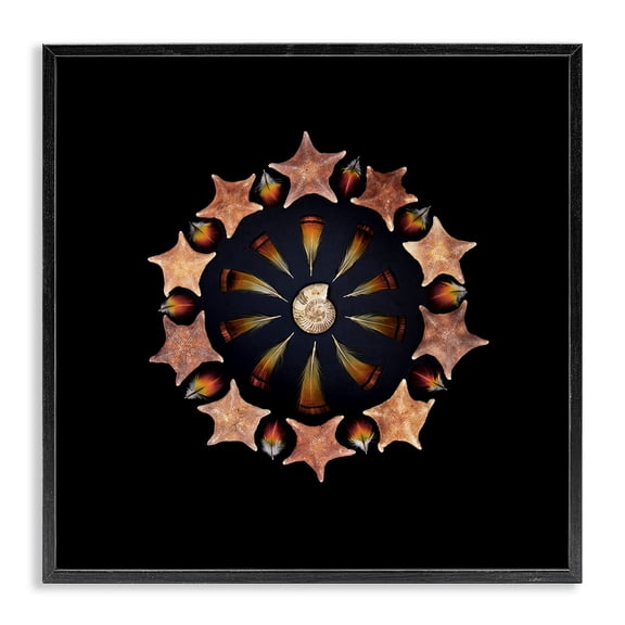 Stupell Industries Nautical Nature Arrangement Black Framed Giclee Art, design by Beth Adoette