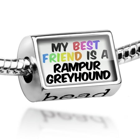 Bead My best Friend a Rampur Greyhound Dog from India Charm Fits All European (Best Car For Womens In India)