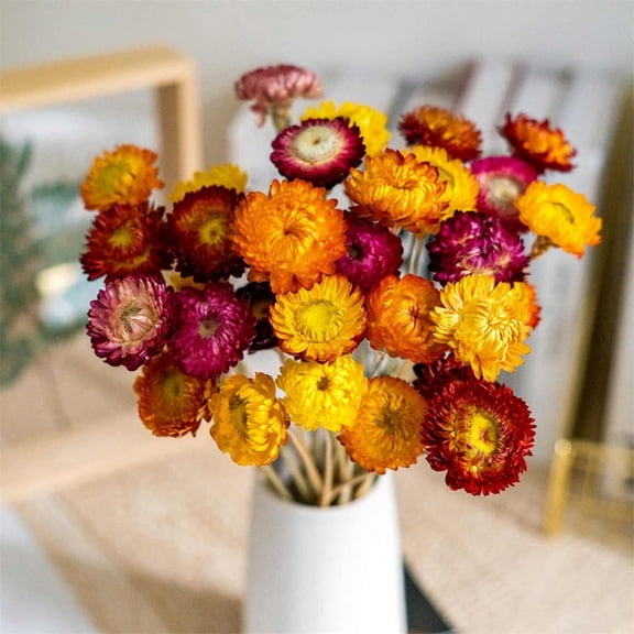 Tutuviw 20 Pcs Natural Dried Daisy Flowers Bouquet Dried Flower Multicolor Daisies Dried Sunflowers Dry Chrysanthemum Flower with Stem for Farmhouse Table Vase Decor Home DIY Floral Arrangement