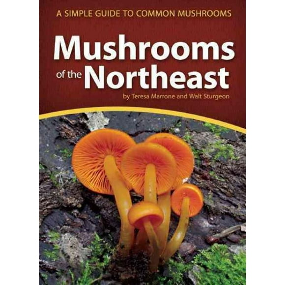 Mushrooms of the Northeast, Teresa Marrone, Walt Sturgeon Paperback