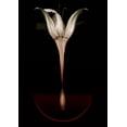 thumbnail image 2 of Lilja, Johan 24x32 Gold Ornate Wood Framed with Double Matting Museum Art Print Titled - Floating Lily, 2 of 4