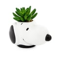 thumbnail image 2 of Mini maceta de cerámica con forma de cacahuetes y cara de Snoopy con plantas suculentas artificiales, 2 of 6