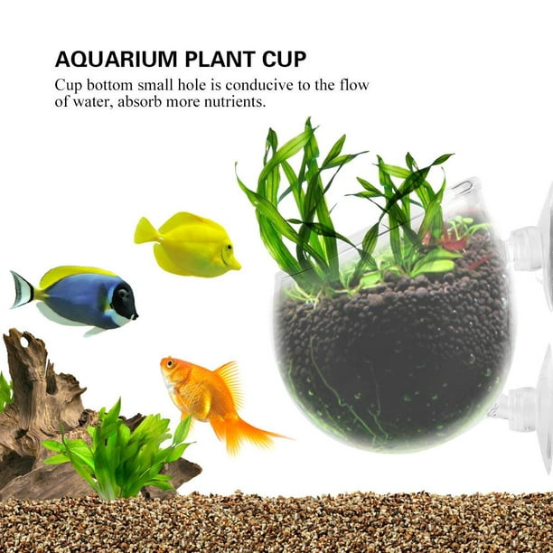 W-B Kit de nettoyage de gravier d'aquarium pour réservoir de