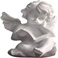 thumbnail image 1 of Cherubs Angels Resin Garden Statue Figurine , Adorable Angel Sculpture Memorial Statue, Indoor Outdoor Home Garden Decoration (Reading Cherub) Ofspeizc WMPH-1496, 1 of 9