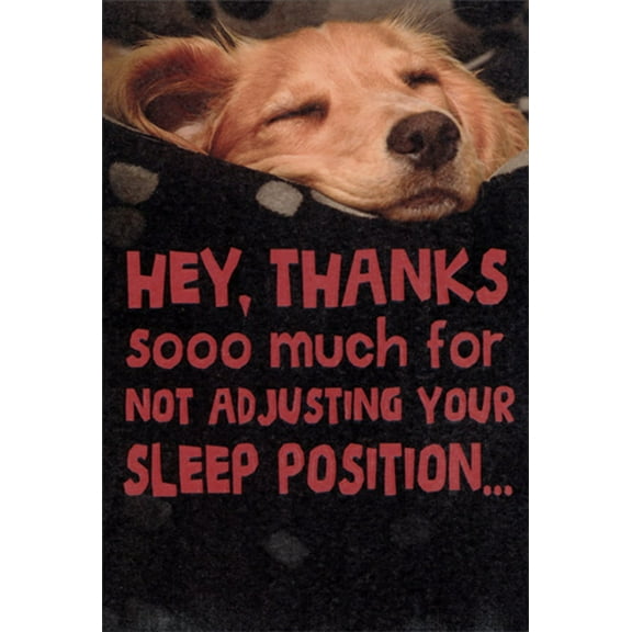 Recycled Paper Greetings Sleep Position Dog Funny / Humorous Father's Day Card from the Dog