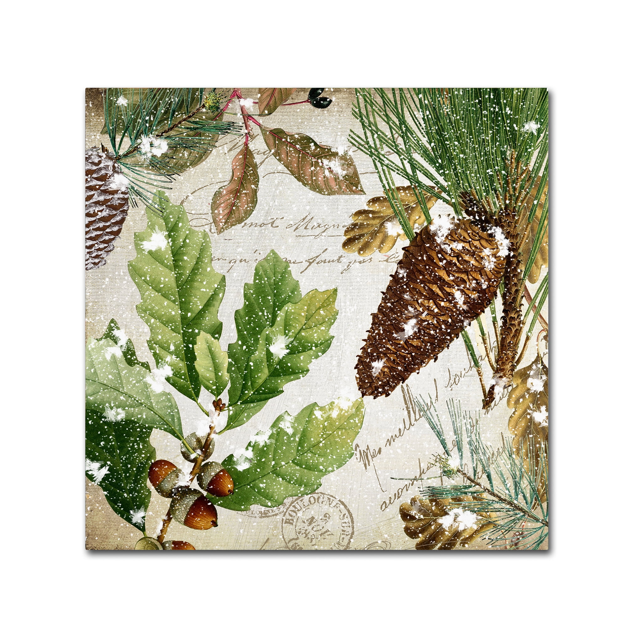 Trademark Fine Art "Snow Cones II" Canvas Art by Color Bakery