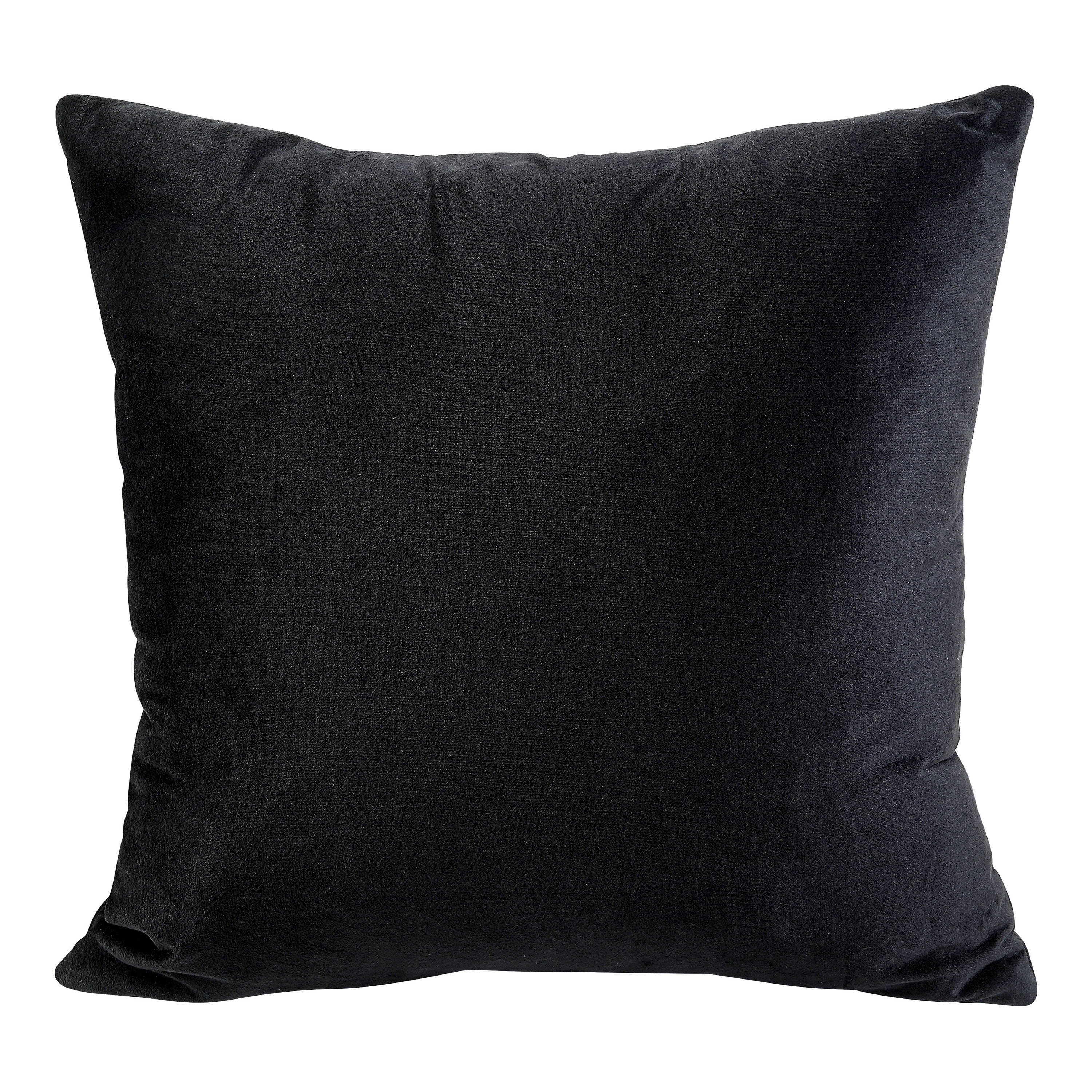 Furniture of America Leo Fabric Tufted Back Chair with Pillow, Black