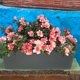 thumbnail image 4 of NUOLUX Macetero De Pared Con Antivuelco Ideal Para Patios Y, 4 of 8
