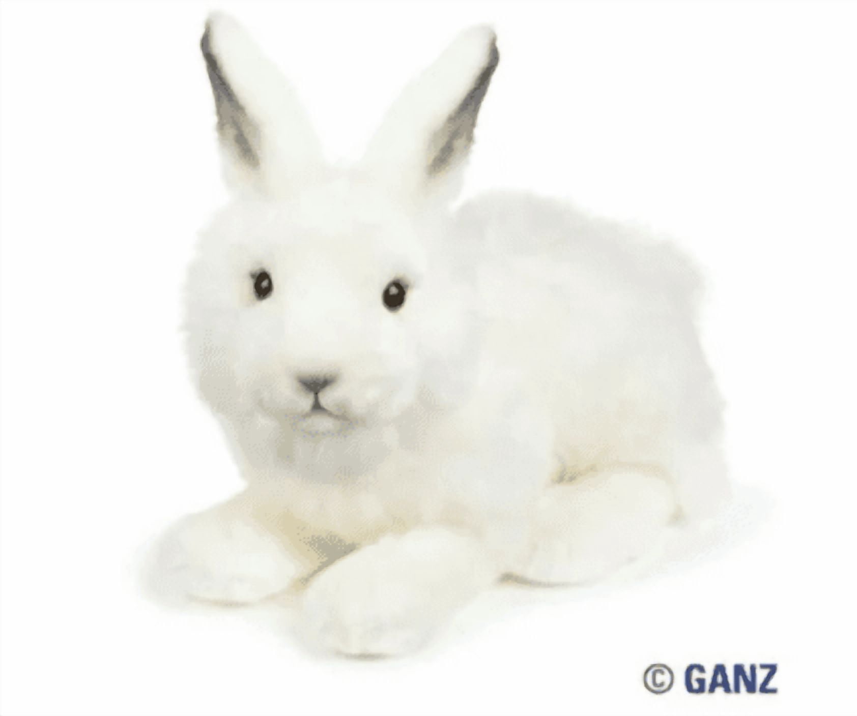 【toy10 様】／白無地ハーフ横長▶600枚 webkinz signature arctic hare with trading cards - Walmart.com