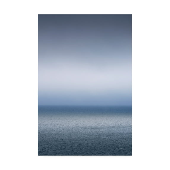 Trademark Fine Art 'Bay of Fundy Fog' Canvas Art by Alan Majchrowicz