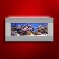 thumbnail image 1 of Aussie Aquariums 2.0 Aquarium Mural - Skyline - Acier Inoxydable Argenté, 1 of 2