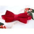 thumbnail image 2 of Spring Notion Men's Pretied Velvet Bow Tie, 2 of 3