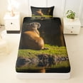 thumbnail image 3 of Erosebridal Jungle Capybara Kid Twin Sheet Sets, Rustic Animal Bedding, 3 Pieces, 3 of 5