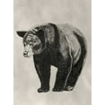 thumbnail image 2 of McCavitt, Naomi 19x24 Gold Ornate Wood Framed with Double Matting Museum Art Print Titled - Pen and Ink Bear II, 2 of 4