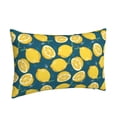 thumbnail image 2 of Fotbe Lemon Pillow Cases - Envelope Closure - Luxury, Extra Soft, Cooling Pillow Covers - Wrinkle, Fade, Stain Resistant-14"x20", 2 of 9