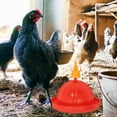 thumbnail image 1 of SWETRACE 1Jgo Bebedero Para Gallinas Y Gansos Con Incorporado Y, 1 of 7