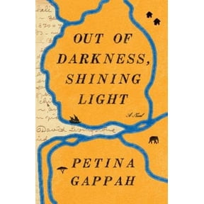 Pre-Owned Out of Darkness, Shining Light (Hardcover) 1982110333 9781982110338