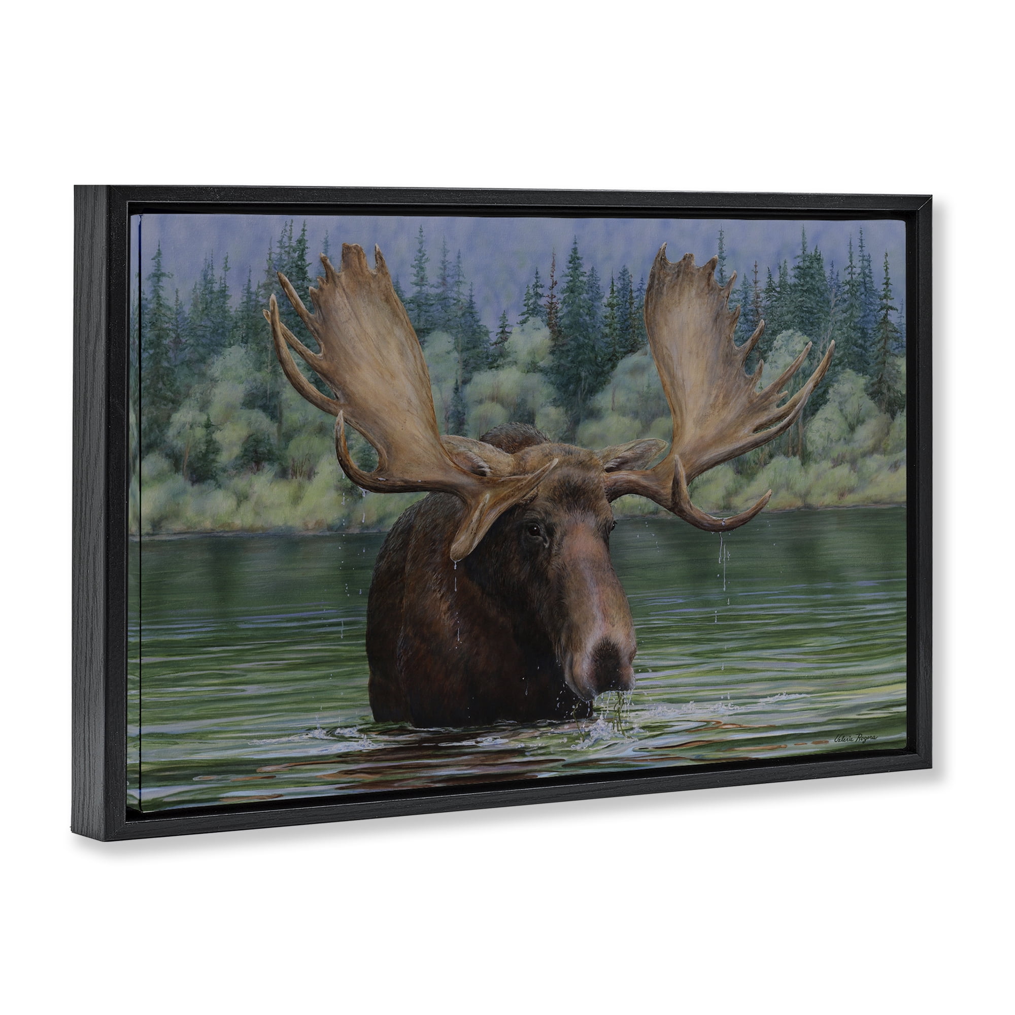 Stupell Industries Moose Swimming in Lake Animals Painting Black Floater Framed Canvas Art Print Wall Art, 25 x 17