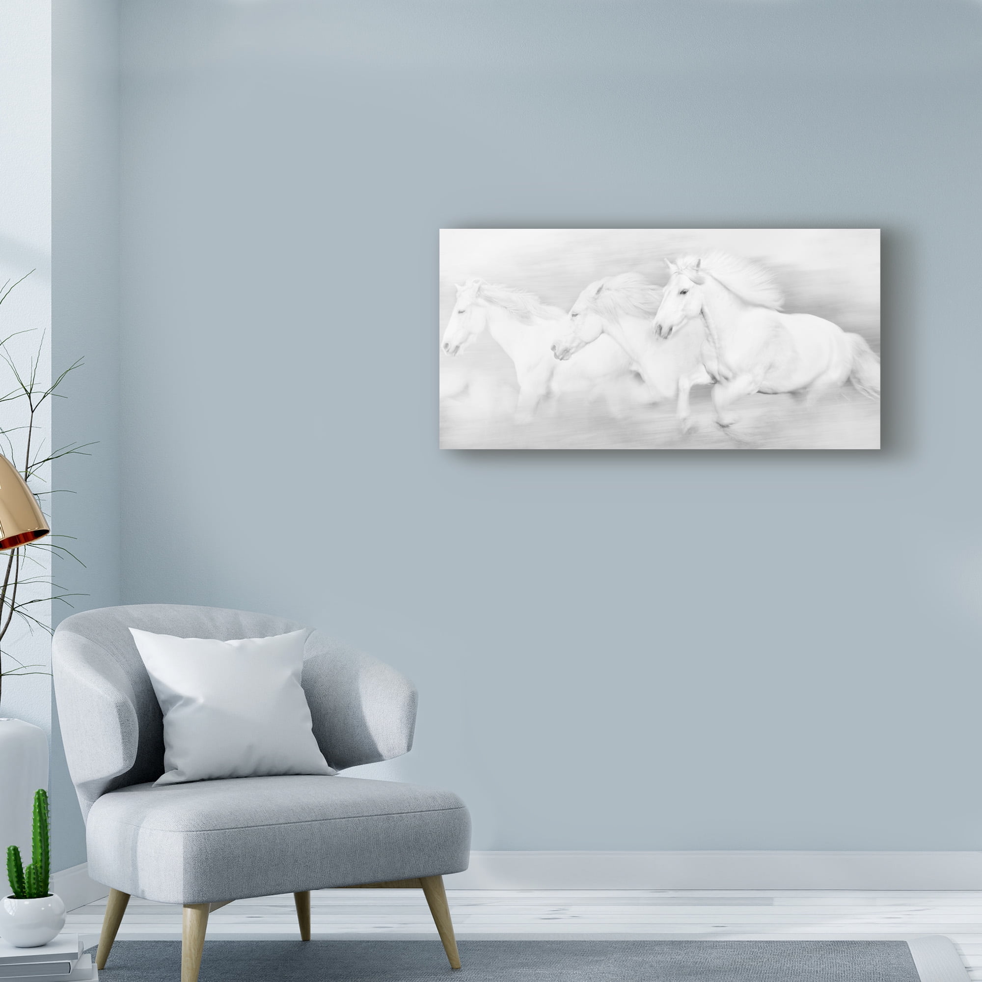 Trademark Fine Art 'All the White Horses' Canvas Art by PHBurchett