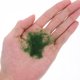 thumbnail image 3 of TABLZONE Suministro De Pasto Artificial Para De Y Paisajes En Tonos, 3 of 8