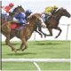 thumbnail image 1 of Cuadro Decorativo - hipismo, 1 of 3