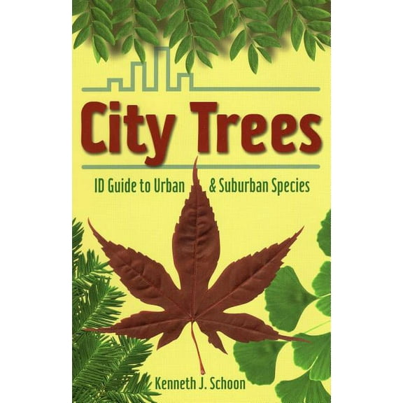 City Trees : ID Guide to Urban & Suburban Species (Paperback)