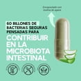 thumbnail image 2 of Suplemento Alimenticio Megabiotic Probióticos 60 Billones y 11 Cepas Inulina de Agave y Aloe Vera 30 Cápsulas MEGABIOTIC Probióticos 60 Billones 11 Cepas, 2 of 7