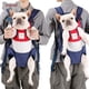 thumbnail image 3 of Mochila para transportar perros: tamaño pequeño, mediano y grande, aprobada por aerolíneas., 3 of 5