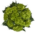 thumbnail image 4 of Hydrangeas - 20 Stems of Mini Green Mojito, Farm Direct, Farm Direct Fresh Cut Flowers by Bloomingmore, 4 of 8