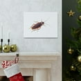 thumbnail image 5 of Majestic Cockroach Art Majestic Cockroach Print Animal Wall Art Wildlife Canvas Prints Wall Art Ready to Hang Unframed, 5 of 18