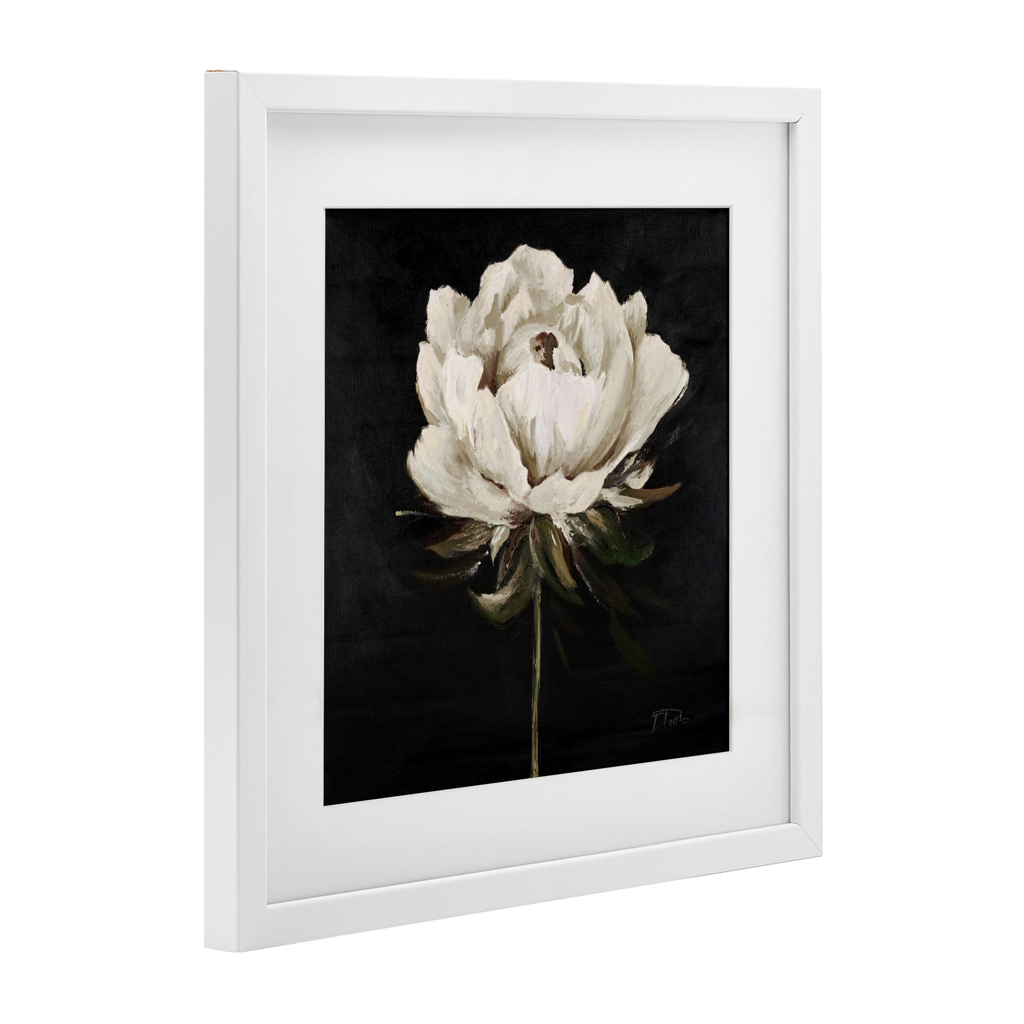 Stupell Industries Pretty Delicate Bloom on Black White Framed Print Under Glass, design by Patricia Pinto