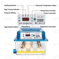 thumbnail image 6 of Intelligent 16-Egg Incubator, Automatic Egg Turning, Digital Display, Battery Backup, for Chickens, Ducks, Geese, and Quail, 6 of 9