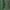 Green, variant on Cavetown Merch Hoodie Moth Dinner Tour 2024 Men/Women Hooded Sweet Streetwear Long Sleeve Pullover