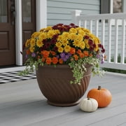 23 Mazzano Garden Planter, Rust – Durable Indoor & Outdoor Flower Pot