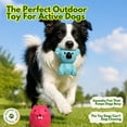thumbnail image 2 of Deeow Natural Latex Squeaky Dog Chew Toys, Soft Teething Puppy Toys for Small & Medium Dogs, Anxiety Relief Interactive Pet Toy Set, 2 of 7