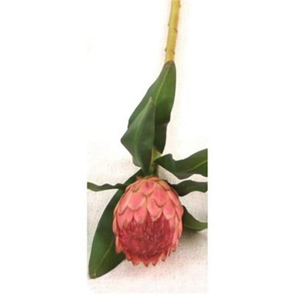 Distinctive Designs DW-410-MV DIY Flower Mauve Medium Protea - Pack of 12