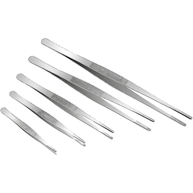Juego de pinzas para plantas de acero inoxidable de 5 piezas Pinzas para jardinería ShuxiuWang 8390612234507