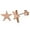 Rose Gold, variant on Stainless Steel Shining Shooting Star Stud Post Earrings