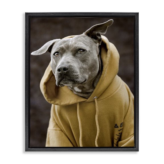 Stupell Industries Contemporary Smiling Labrador Dog Wearing Hooded Yellow Sweatshirt Black Floating Frame Canvas Art, 17 x 21, by Michael Brian