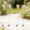 4 dragonfly clip D, variant on 4 PCS Dragonfly Dragon Fly Clips for Bugs Repellent, Outdoor 3D Garden Decor to Keep Away, Flying Butterflies Decorative Hat Stakes Yard Ornaments, Metal Stakes for Golf, Walk