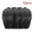 thumbnail image 2 of Clearance! Fdelink Feathers Decoration 50 Pcs Colourful Plumage for Wedding Party Centerpieces Flower Arrangement Home Decoration Diy Middle Floating Plume Hair Clothing Craft Decoration Plumage, 2 of 3