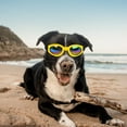 thumbnail image 2 of Dog Sunglasses Small Dog Polarized Sunglasses Wind Proof Pet Goggles Adjustable Folding Glasses Dog Place Accessories Ground For Dogs Dog Accessories Nearby Dog Accessories 24 Puppy Accessories Set, 2 of 7