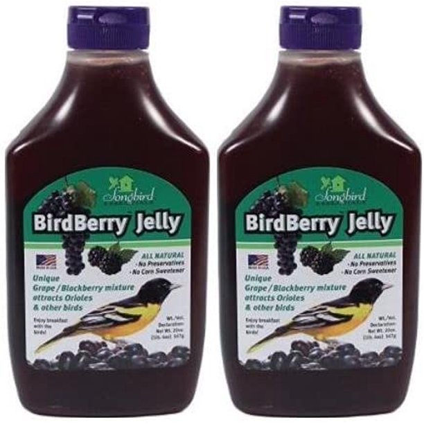 Songbird Essentials 20 Ounce BirdBerry Jelly Squeeze Bottle Bird Feeder