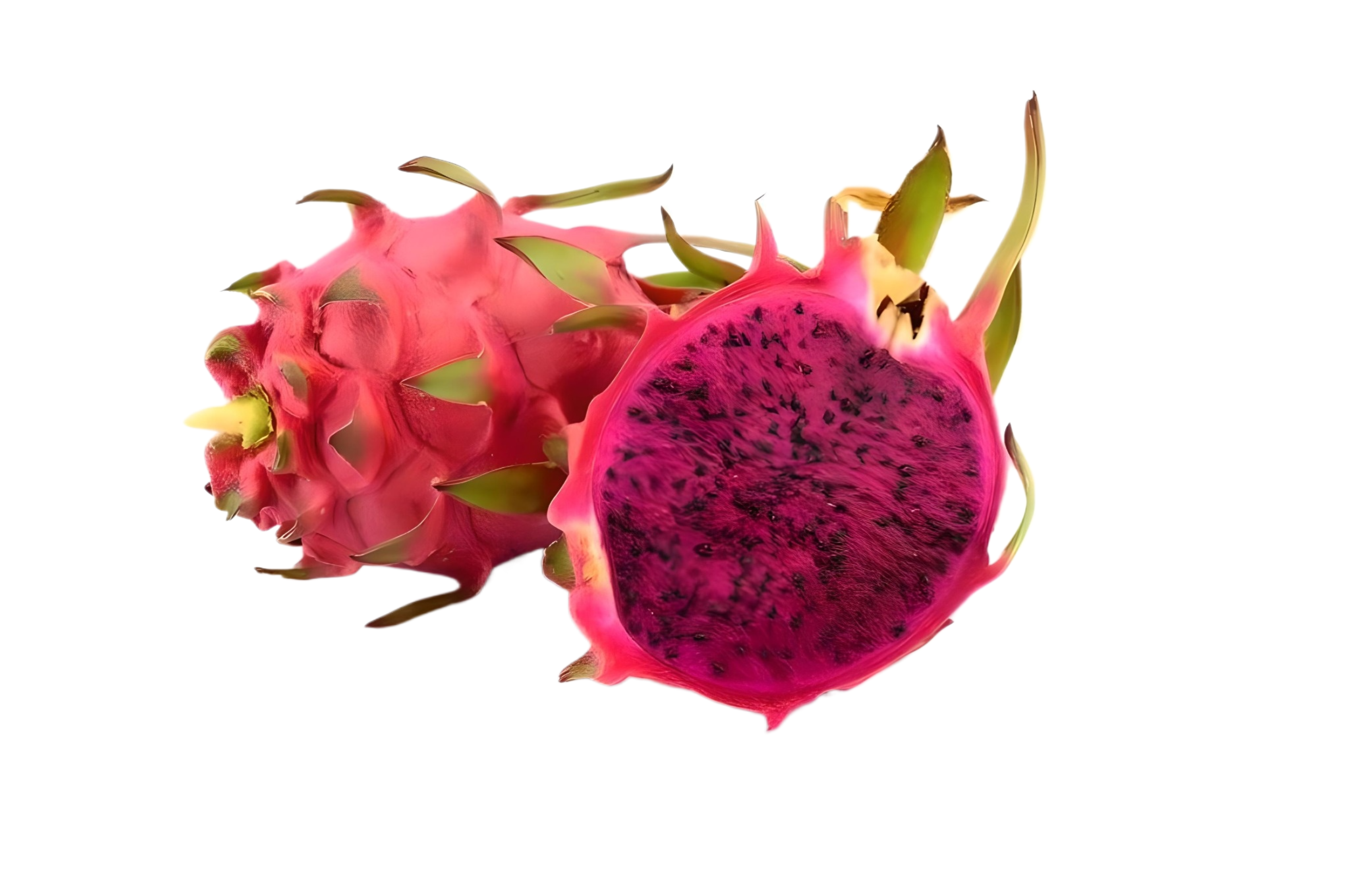 NOKKI FARM Freeze Dried Dragon Fruit Crisps - Healthy & Exotic Tropical Superfood Snacks, No Added Sugar or Preservatives, Kid-Approved, Shelf-Stable & Portable for On-The-Go Snacking, 1.76oz x 6