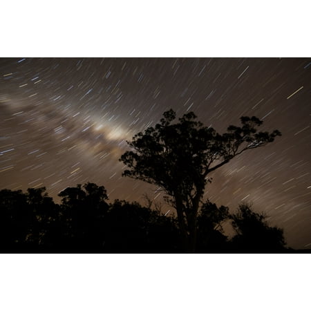 Victorian Star - Star trails and the Milky Way Glenmaggie Victoria Australia Poster Print