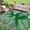 Green/White, variant on IValue Outdoor Rugs 8’x 10’ Waterproof Reversible Patio Rugs Outdoor Portable RV Camping Mats for Deck Porch