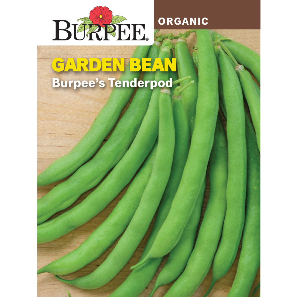Burpee Organic Burpee's Tenderpod Garden Bean Vegetable Seed, 1Pack