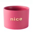thumbnail image 1 of Coofit Ceramic Plant Pot Decorative: Simple Flower Pot Succulent Planter Pot with Hole, 1 of 8