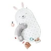Fisher-Price Hoppy Dreams Bunny-Themed Massage Set